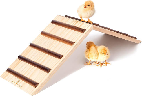 Chick Supplies, Chick Perch & Chicken Roost, Chick Stand Training Perches, Roosting,