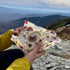 Bee's Wrap Vegan Beeswax Wraps - Organic Meadow Magic Sandwich Wrap, Reusable Bread Bags Made in USA, Eco-Friendly