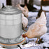 3 Gallons(11 inch), 125W Poultry Chicken Water Heater: Chicken Water Heater Base for Winter, for Plastic/Metal Poultry