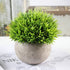 Ogrmar 4PCS Mini Plastic Artificial Plants in Pot - Small Faux Greenery for Bathroom & House Decorations