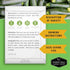 Summer Survival Garden Seeds Zucchini & Squash Collection Seed Vault - Non-GMO Heirloom Seeds for Planting Vegetables