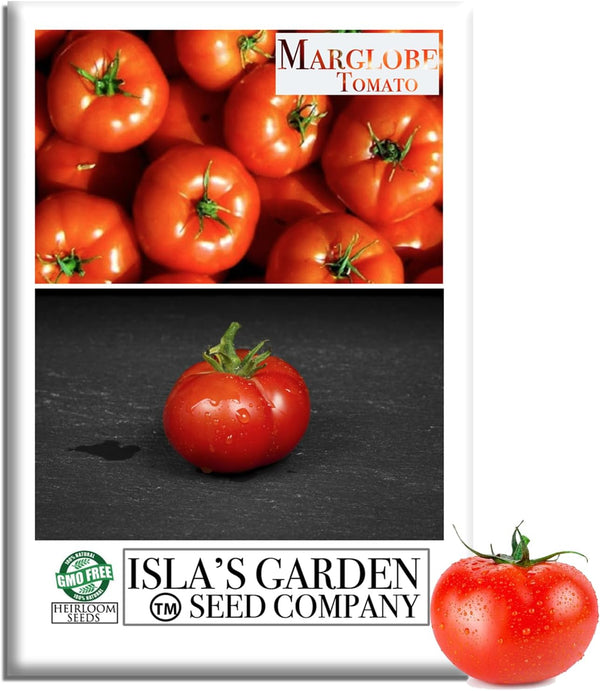 Marglobe Tomato Seeds (Solanum lycopersicum) 500+ Non-GMO & Heirloom Seeds by Islas