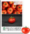 Marglobe Tomato Seeds (Solanum lycopersicum) 500+ Non-GMO & Heirloom Seeds by Islas