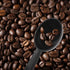 Penta Angel Coffee Scoops, 10 Pcs 0.25 OZ Plastic Measuring Spoons for Coffee, Tea, Sugar, Cereal (Black)