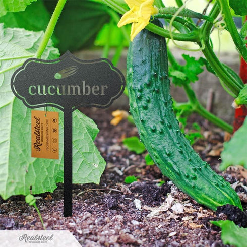 RealSteel Metal Seed & Plant Markers Elegant Indoor & Outdoor Garden Stakes Durable Herb, Vegetable & Fruit Plant