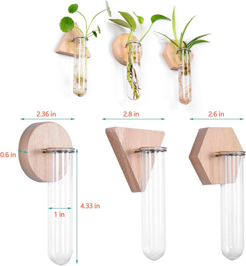 6-Pack Geometric Glass Plant Propagation Station with Wooden Stand