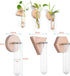 6-Pack Geometric Glass Plant Propagation Station with Wooden Stand