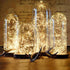 Lighting EVER 66 ft Fairy Lights with Switch, 200 LED Warm White Copper Wire, Waterproof Indoor Outdoor