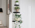 QsQueen Solid Wood Half Round Floating Wall Shelves | Elegant Floating Shelves, Elevate Your Space. Perfect for Living