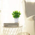 OFFIDIX Faux Plants Mini Potted Plastic Aloe, Artificial Green Plant with White Square Pots for Home Decor