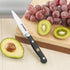 Gioventù Paring Knife 4 inch - Small Kitchen Knife Forged from German Stainless Steel, Sharp for Cutting Fruits