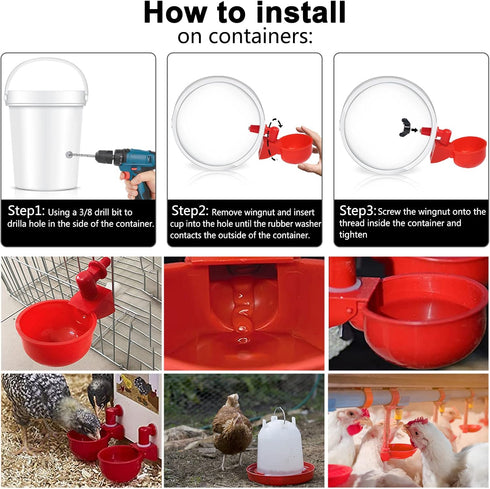 3/8 (6) Chicken Water Cup Waterer for Poultry, in Automatic Filling Waterer Poultry Drinking Bowl Chicken Water Feeder