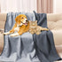 50''x60'' Tisancy Waterproof Blanket for Bed Couch Sofa, Reversible & Washable, Fleece and Flannel Waterproof Mat