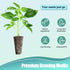 100pcs 50pcs 50pcs Haligo Square Pods for Hydroponics Growing System, Square Grow Sponges with Pods Labels, Supplies