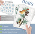 Mfault 187 PCS Winter Birds Pine Tree Branch Window Clings, Xmas Red Cardinal Blue Chickadee Decor