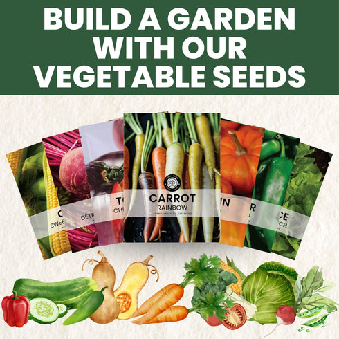 4,500 2026 5 Carrot Rainbow Mix Premium Heirloom Seeds for Planting Colorful, Sweet Root Blend for Garden & Kitchen