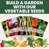 4,500 2026 5 Carrot Rainbow Mix Premium Heirloom Seeds for Planting Colorful, Sweet Root Blend for Garden & Kitchen