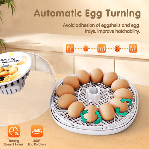 12 Egg Incubators for Hatching Eggs Chicken Eggs Incubator for Hatching Eggs Incubator with Automatic Egg Turner