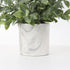 Hollyone Mini Artificial Potted Plants - Fake Plants in Marble Pots, 1Pcs Plastic Eucalyptus Greenery Faux Plants for