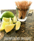 Obliviate Shot Glass/Cup, Wizard Gifts, Birthday Shot Glass for Men/Women, 1.75 oz