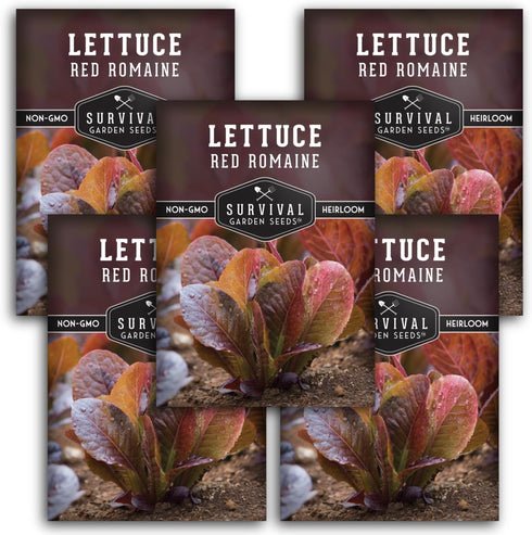 Red Romaine Lettuce Seeds for Planting - Crisp Red Leaf Romaine Lettuce