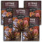 Red Romaine Lettuce Seeds for Planting - Crisp Red Leaf Romaine Lettuce
