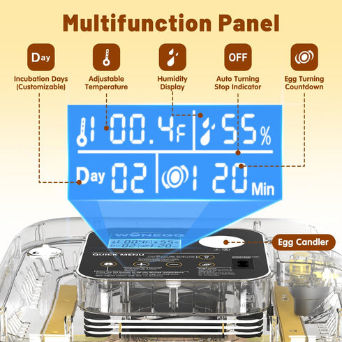 12 Incubator for Hatching Eggs, Eggs Incubator with Automatic Egg Turning, Temperature & Humidity Control, LED Egg