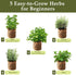 5 Herb Garden Planter Indoor with Wooden Box, Home Kitchen Seed Starter Kit Including Basil, Thyme, Parsley, Rosemary