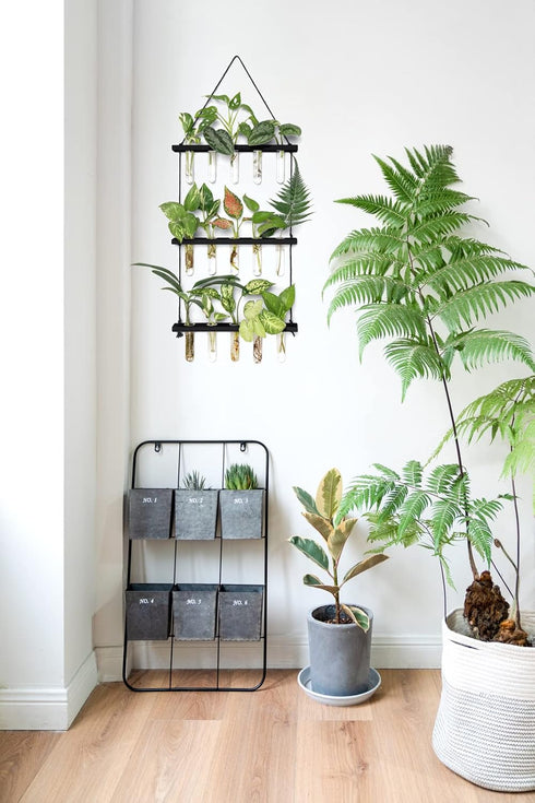 3 Mkono Tiered Wall Hanging Plant Terrarium with Wooden Stand Mini Test Tube Flower Vase Glass Planter for Hydroponic