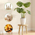 YUZUKYAUY 3 Pack 3 Pack) Plant Stand Indoor Outdoor Mid-Century Modern Plant Stool Wooden Plant Pot Holder Home Decor