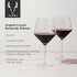 Viski Raye Angled Burgundy Glasses Set of 2 - Premium Crystal Clear Red Wine Gift Set, 21 oz