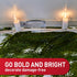 Command 20 24 Command Outdoor Light Clips, Clear Clips and Strips, Damage-Free Hanging Outdoor Light Clips with Weather