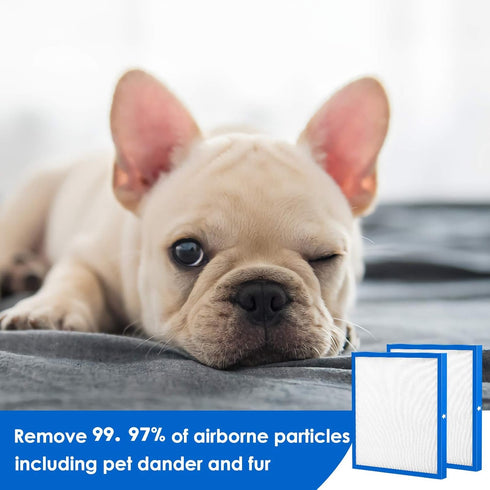 Cabiclean 2 Set Replacement Filter - Compatible for HoMedics AF-20, AF-25, AP-20, AP-25 Models