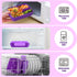 Jelife Lunch Box Kids Bento Box, Large Leakproof 4 Compartments Lunchbox with Utensils for Back to School, Purple