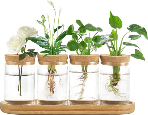 Dahey Plant Propagation Terrarium Desktop Glass Planter Station Water Planting Glass Vase