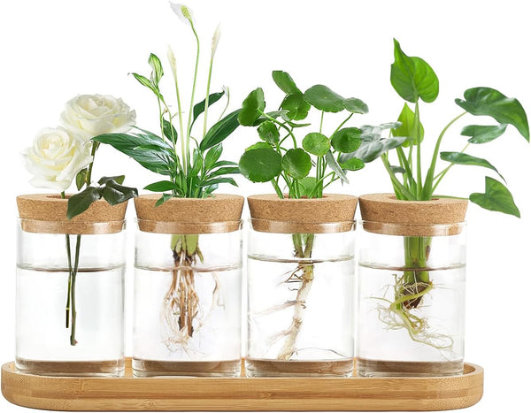 Dahey Plant Propagation Terrarium Desktop Glass Planter Station Water Planting Glass Vase