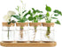 Dahey Plant Propagation Terrarium Desktop Glass Planter Station Water Planting Glass Vase