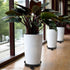 2 Pack of Plant Pallet Caddy, Planter Pot Rolling Mover, Plant Stand Dolly Casters with Wheels, Indoor Outdoor Plant