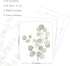 Botanical Boho Bathroom Decor Wall Art Prints, UNFRAMED Sage Green Plants Decor, Set of 4 Pictures (8"x10")