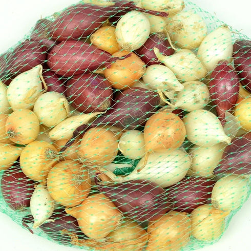 Sets, 8 oz, Non-GMO Onion Red, White, Yellow Mix, Home Garden Assortment, Planting Guide Included, Stargazer Perennials