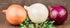 NIKA SEEDS 500 Seeds Vegetable Onion Rainbow Mix Neutral - Seeds