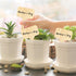 Whaline 60Pcs Wooden Plant Labels with Marker Pen, Decorative Garden Markers for Herbs