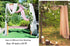 Lavender Wedding Arch Draping Fabric, 29" x 20FT Sheer Chiffon Tulle Drapes for Ceremony, Arbor, Party Decoration