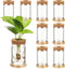 Baderke 9 Packs Propagation Vases for Plants Plastic Plant Propagation Station with