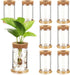 Baderke 9 Packs Propagation Vases for Plants Plastic Plant Propagation Station with