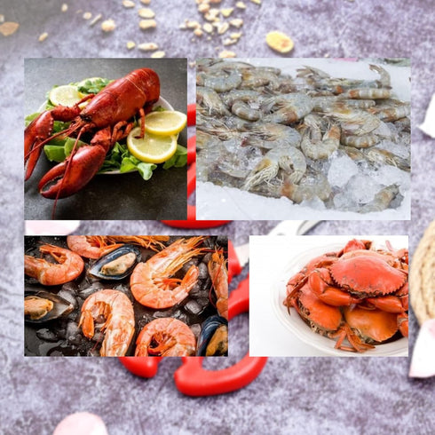Set 8 of Red Seafood Scissors - Stainless Steel Crab & Lobster Crackers