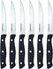 Farberware 6-Piece Triple Riveted Steak Knife Set, High-Carbon Stainless Steel, Razor-Sharp Fine Edge Blades, Black
