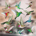 12-Pack Hummingbird Window Clings, Double-Sided Colorful Decals for Bird Strike Prevention