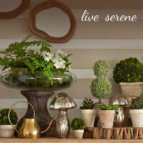 Serene Spaces Living Classic Clear Glass Cube Vase, 3" Cube for Floral Centerpiece or Candle Holder