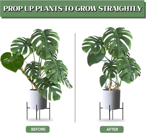 12 Pack 16 Inch 15 Joyhalo Plant Support Stakes, Plant Stakes for Outdoor Plants, Peony Cages and Supports, Peony Cage